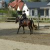 Babie Lato 2016